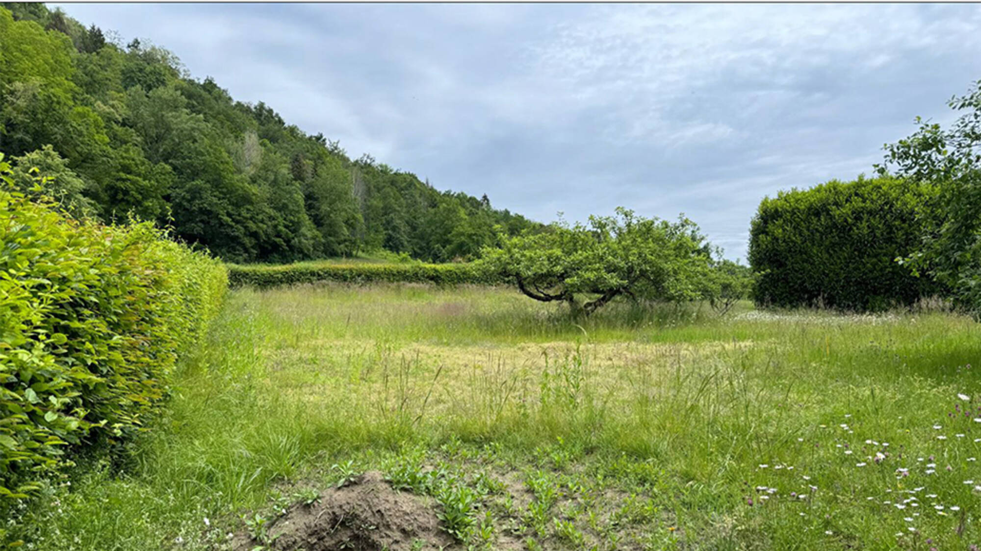 Terrain à bâtir à Saint-Sylvestre à Saint-Sylvestre (74) | Maisons Alain Métral